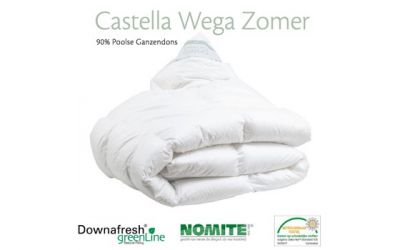 Castella Wega Zomer 90% Pools ganzendons